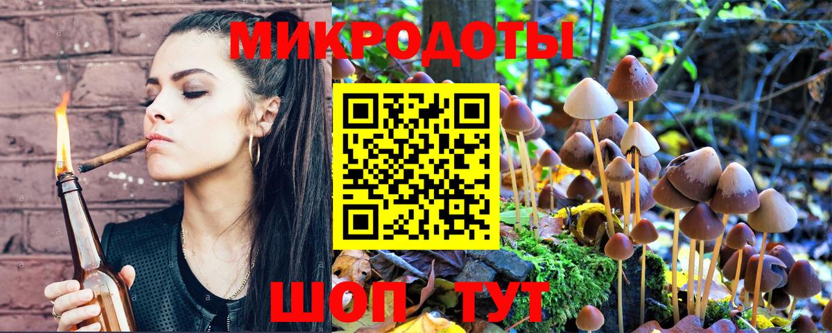 Псилоцибиновые грибы прущие грибы Ейск