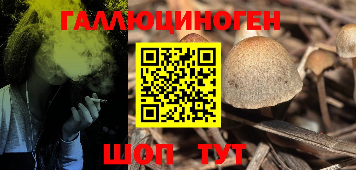Псилоцибиновые грибы MAGIC MUSHROOMS  Галлюциногенные грибы Magic Shrooms  Ейск  Вход с VPN 